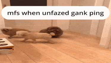 a picture of three dogs with the caption mfs when unfazed gank ping above them