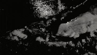 a black and white photo of a person swimming in a body of water .