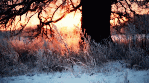 Purdy GIF - Snowing Winter Sunset GIFs