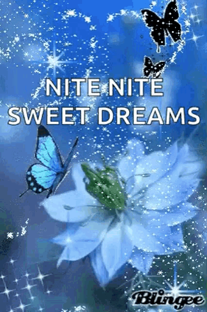 a butterfly is flying over a blue flower and says `` nite nite sweet dreams '' .