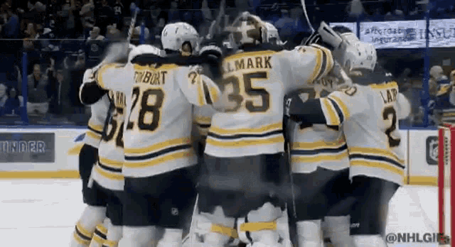 Boston Bruins Celebration GIF - Boston Bruins Celebration Bruins Win GIFs