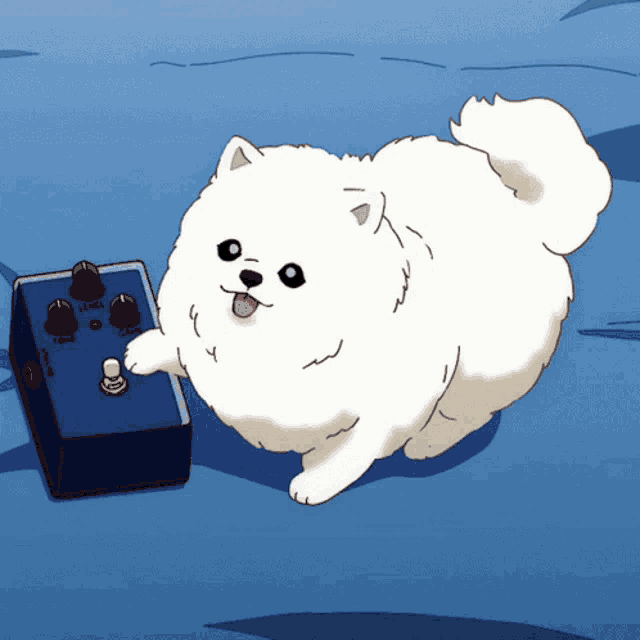 a small white dog is standing next to a blue guitar pedal