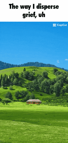 a picture of a house in the middle of a grassy field