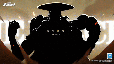 a silhouette of a person with the word one piece written on it