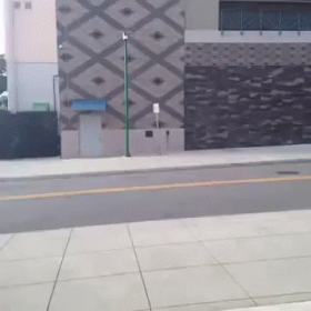 The Aggressive Pedestrian GIF - Honk Car Honkingback GIFs