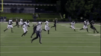 a group of football players running on a field with a referee in the background