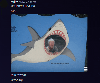 a picture of a woman in a shark 's mouth