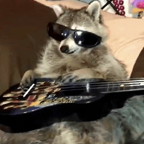 a raccoon wearing sunglasses is playing a guitar on a bed .