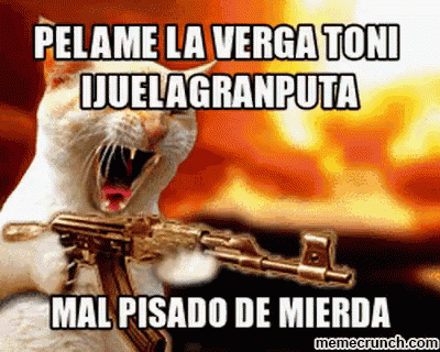 a cat is holding a gun in front of a fire and says pelame la verga toni ijuelagranputa