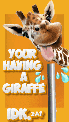 a giraffe sticking its tongue out with the words " your having a giraffe idk zaf " below it