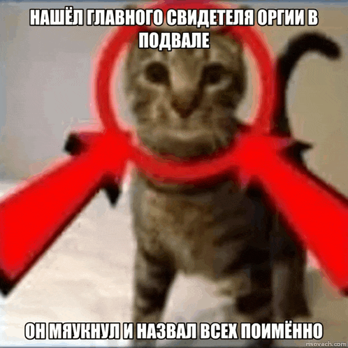 a cat with a magnifying glass around its neck and a caption in a foreign language