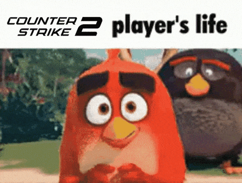 Cs2 Player'S Life Counter Strike Player'S Life GIF - Cs2 Player'S Life Counter Strike Player'S Life Counter-strike Player'S Life GIFs