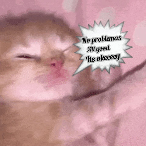 a picture of a cat with a speech bubble that says no problems all good its okeeeey