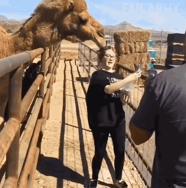 Camel Ill Eat You GIF - Camel Ill Eat You Golden Haired GIFs
