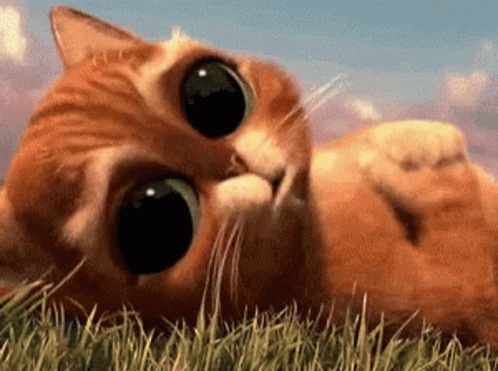 Cats Love GIF - Cats Love Puss In Boots GIFs