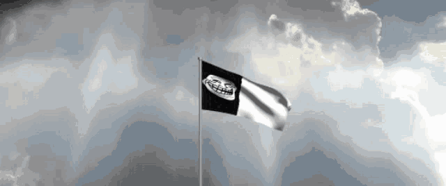 a troll face on a black and white flag