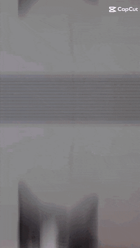 a cat is sitting on a window sill with a capcut watermark on the bottom right