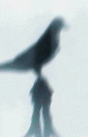 a close up of a gray and white background with a blurred image of a wave .