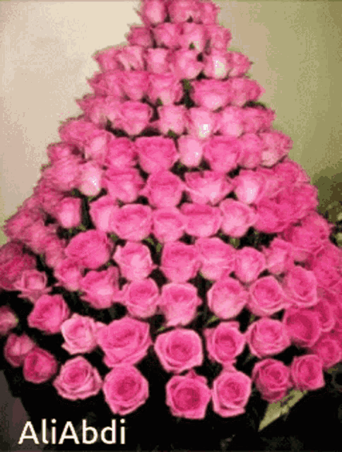 a bunch of pink roses are stacked on top of each other with the name aliabdi on the bottom
