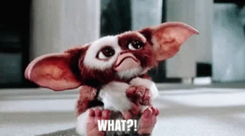 Gremlins What GIF - Gremlins What Confused GIFs