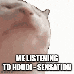 a close up of a cat 's face with the words `` me listening to houdi-sensation '' written on it .