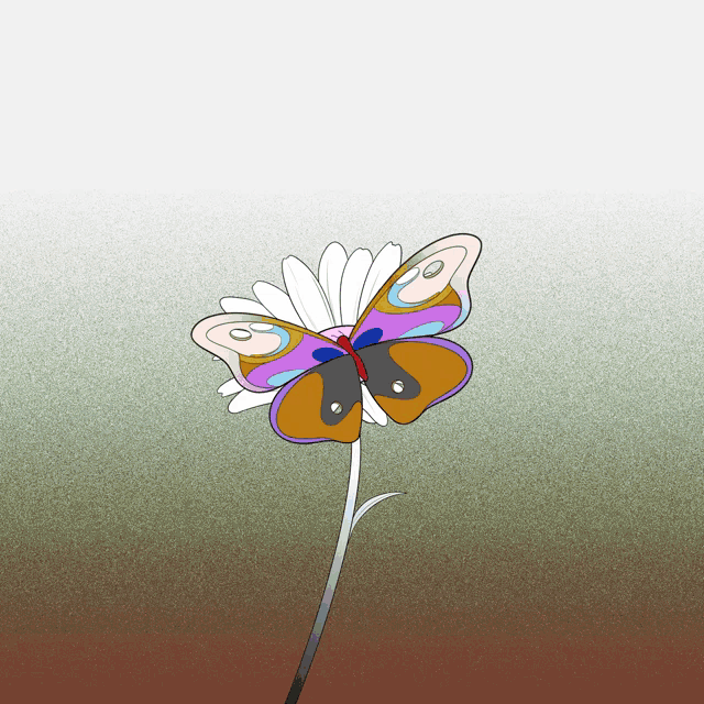 a butterfly is sitting on a white flower with a green background