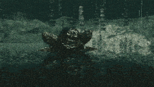 a turtle is swimming in the water and splashing