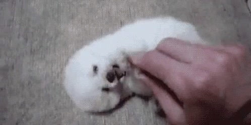 Tickle Tickle GIF - Puppy Fluff Tickle GIFs
