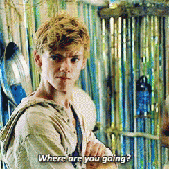 Where Are You Going Newt GIF - Where Are You Going Newt Thomas Sangster GIFs