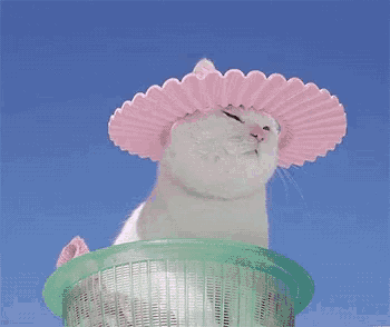a white cat wearing a pink hat is in a green basket .