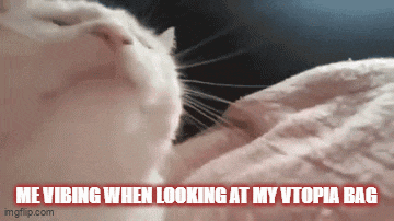 a picture of a cat with the caption me vibing when looking at my vtopia bag