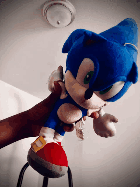 a person is holding a sonic the hedgehog stuffed animal in their hand