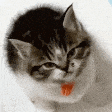 a close up of a cat with its tongue sticking out