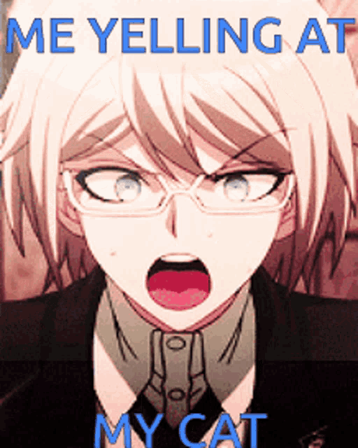 a picture of a boy with glasses and the words me yelling at my cat