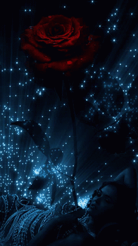 Sparkling Flowers GIF - Sparkling Flowers Rose GIFs