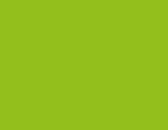 a green background with the name jeanine presidenta on it