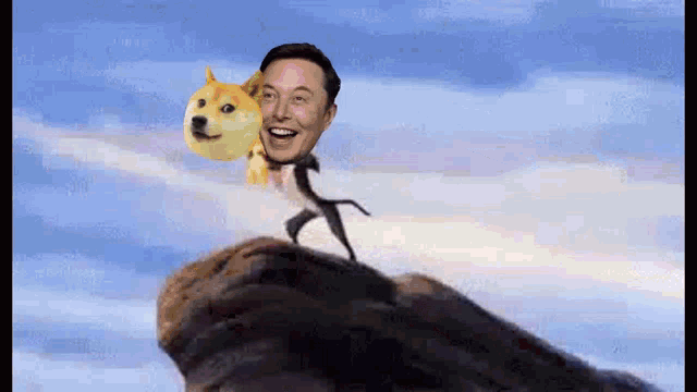 elon musk is riding on the back of a doge on top of a mountain