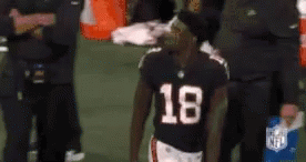 Say What Nfl GIF - Say What Nfl Football GIFs