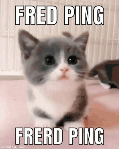 Fredping GIF - Fredping GIFs