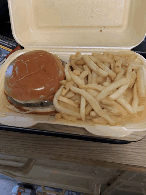a styrofoam container with a hamburger and french fries in it