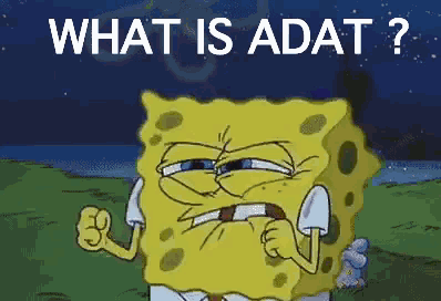 a cartoon of spongebob with the words what is adat on the bottom