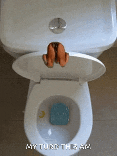 a picture of a toilet with the words my turd this am below it