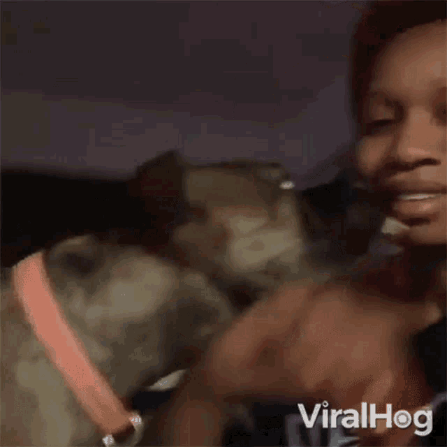 Dog Licking Owners Face Viralhog GIF - Dog Licking Owners Face Viralhog Dog Kissing Its Owner GIFs