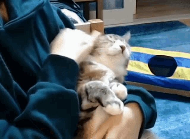 a person is holding a cat in their arms while it sleeps .