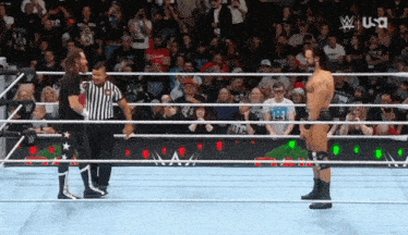 two wrestlers are standing in a wrestling ring with the usa logo on the bottom right