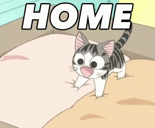 Home GIF - Home Cat Happy GIFs