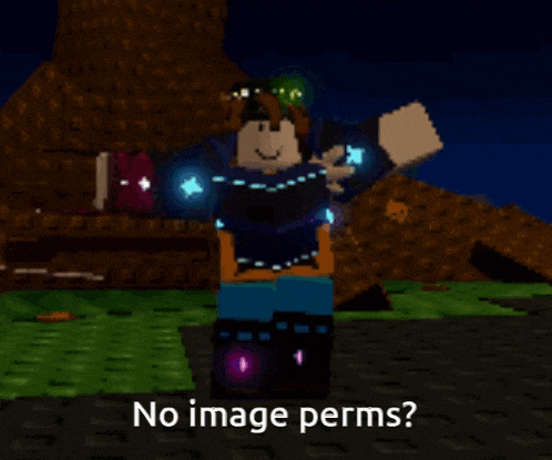 a picture of a roblox character with the words no image perms
