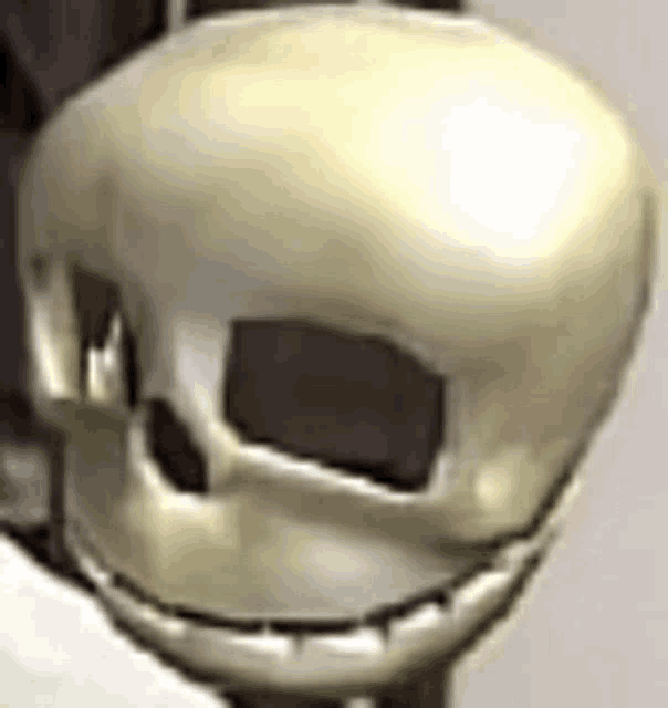 a close up of a skull with a hole in it 's eye .