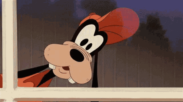 goofy looking out of a window with a hat on