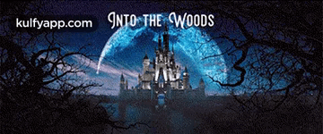 Into The Woods.Gif GIF - Into The Woods Theme Park Amusement Park GIFs